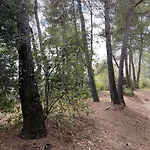מלון Kyriad Montpellier Nord Parc Euromedecine