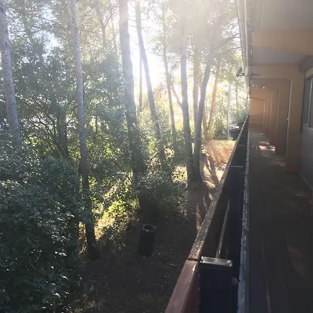 酒店 蒙彼利埃北欧洲医学公园酒店